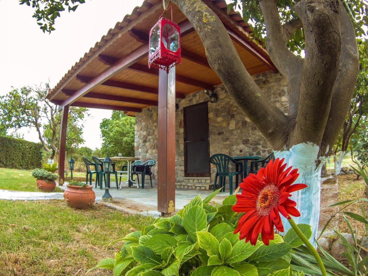 Villa Patras Stonehouse With Large Yard - Πέτρινο Σπίτι Με Αυλή Paralía Esterno foto