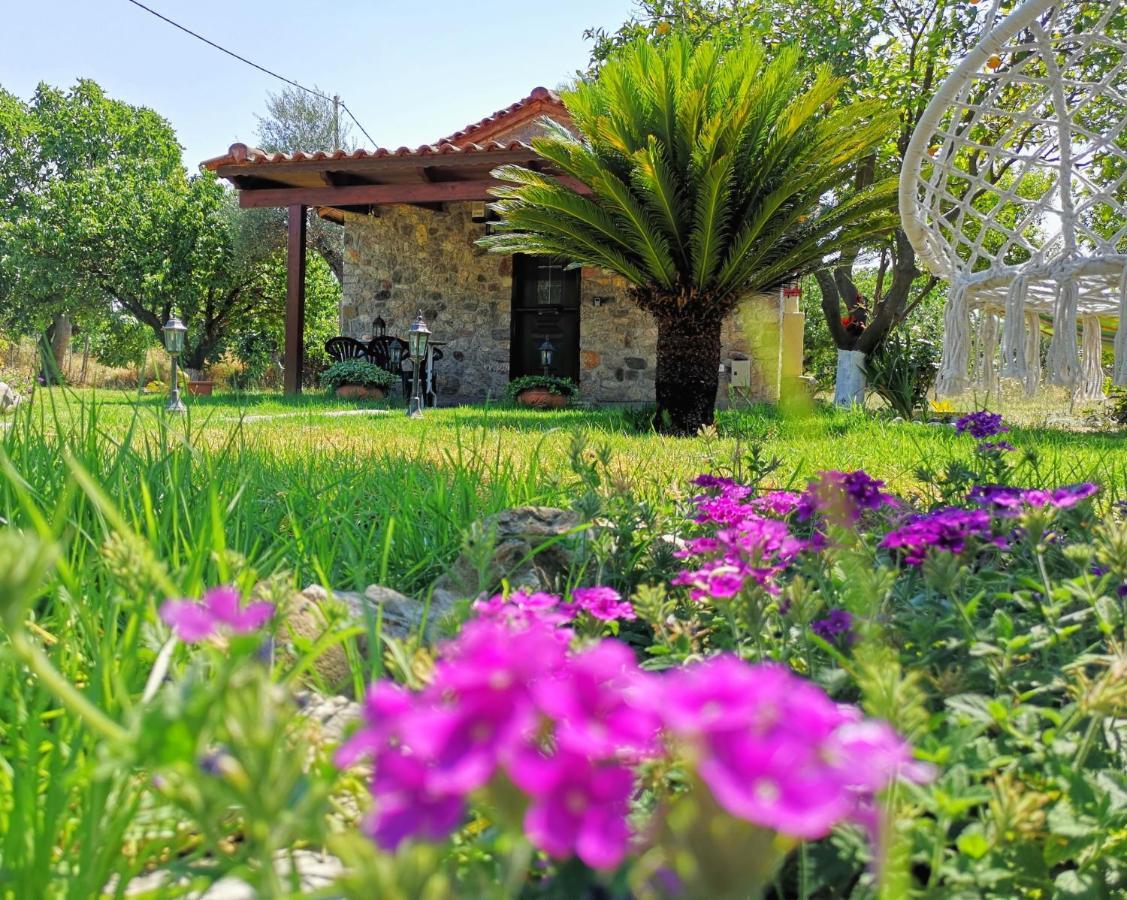 Villa Patras Stonehouse With Large Yard - Πέτρινο Σπίτι Με Αυλή Paralía Esterno foto